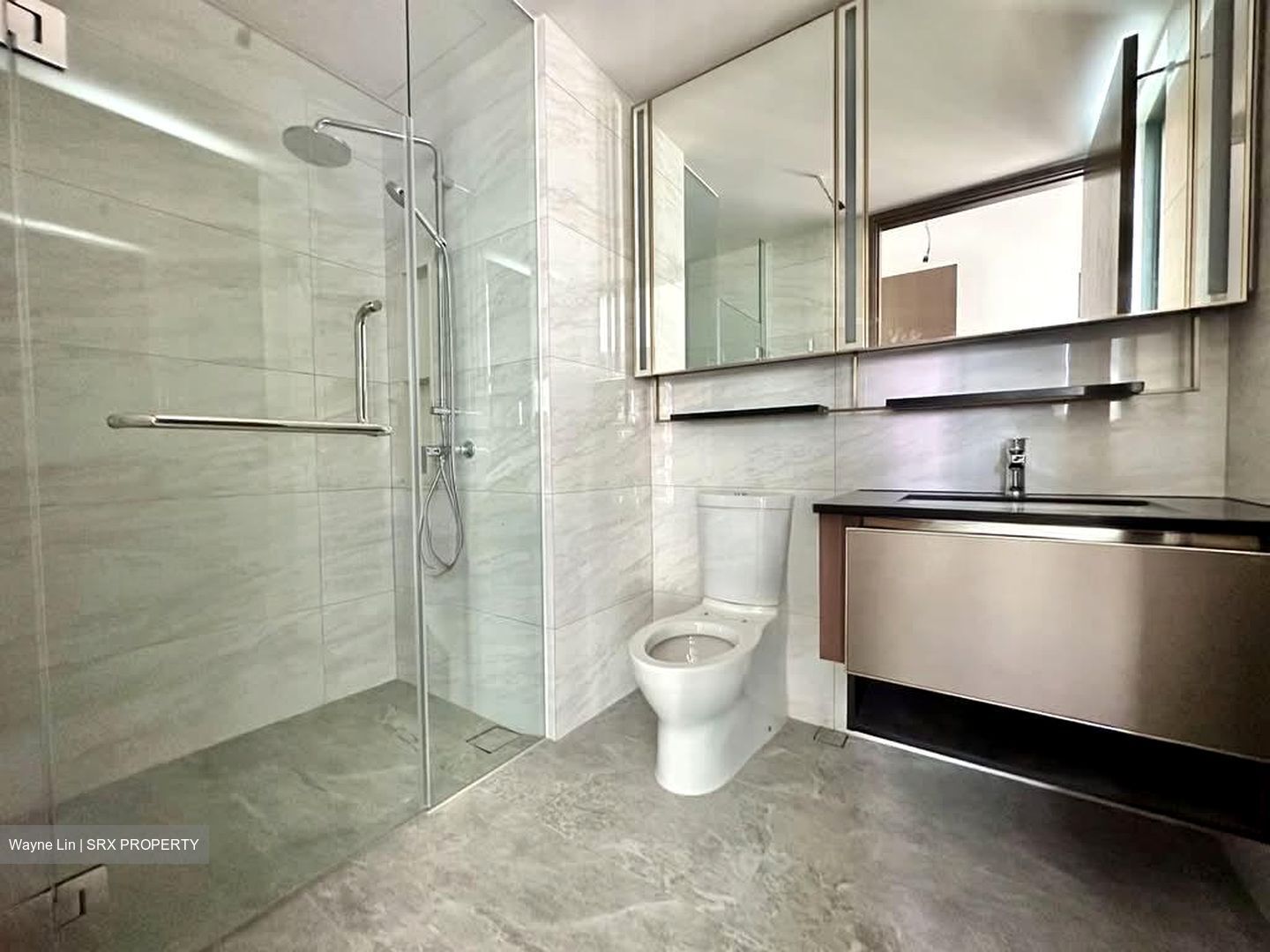 Normanton Park (D5), Apartment #597170661